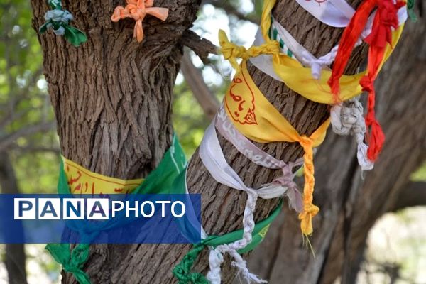 اردوی راهیان نور دانش‌آموزی پسران ناحیه یک بهارستان