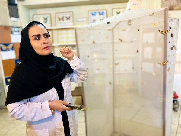 دانش آموزان خبرنگار، قهرمانان کشف دنیای گیاهان
