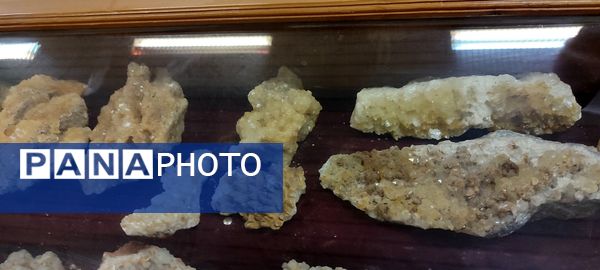 برگزاری اردوی علمی دانش‌آموزان مدرسه سعادت در دانشگاه هرمزگان