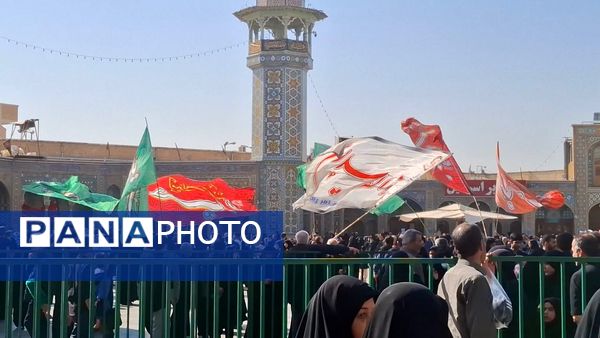 روایت اشک و ارادت عاشقان در سوگ وفات حضرت معصومه(س)