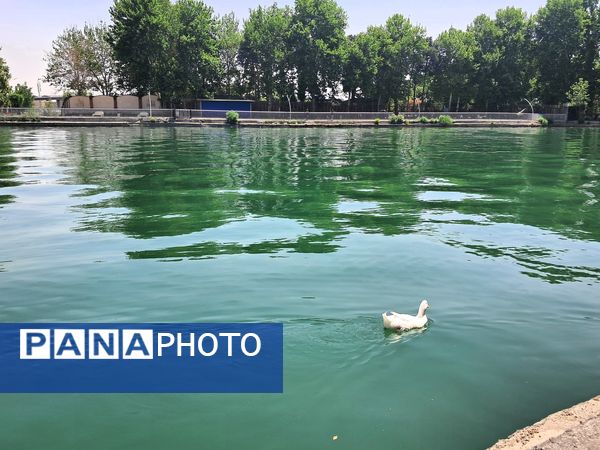 بازدید از باغ وحش ارم ،تجربه‌ای بی‌نظیر در دنیای شگفت‌انگیز حیوانات 