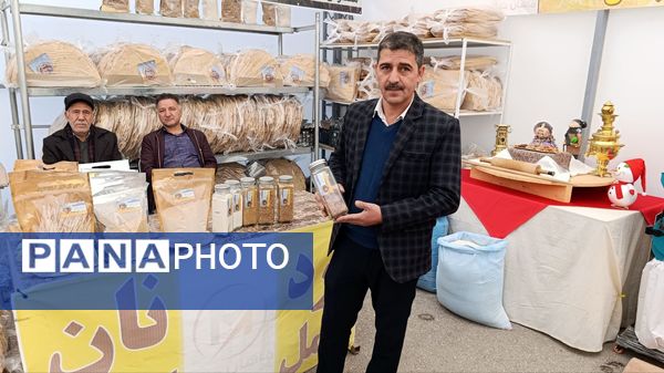 نمایشگاه یلدا در سایه‌سار چنار کهن لاهیجان تبریز گشایش یافت