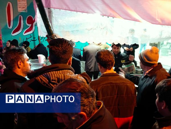 موکب‌های شادی در سطح شهرستان کاشمر 