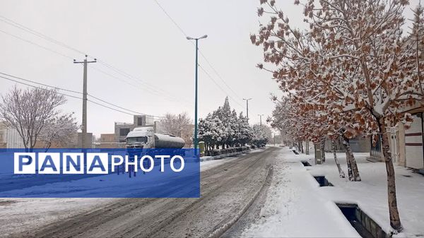 شازند سفیدپوش شد