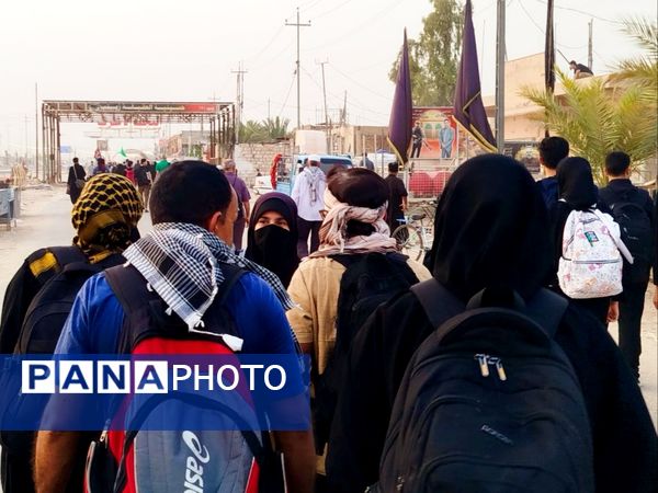 میلیون‌ها گام عاشقی؛ روایت حماسه اربعین حسینی از نجف تا کربلا