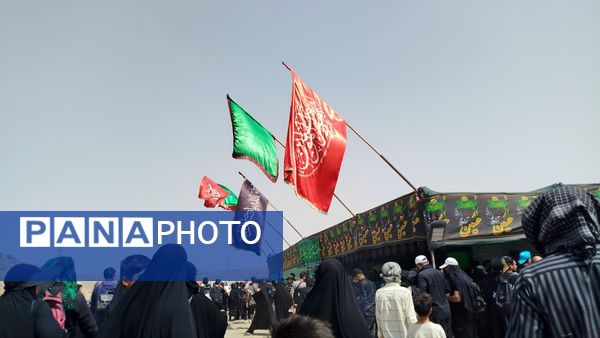 پیاده روی زائران امام رضا(ع) از ملک آباد تا مشهد 