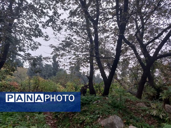 کردکوی، سرسبزترین شهرستان گلستان