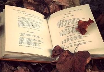 به‌مناسبت هفته کتاب و کتابخوانی 