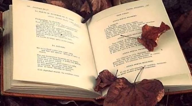 به‌مناسبت هفته کتاب و کتابخوانی 