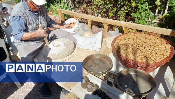 جشن بزرگ بادام در تفرش