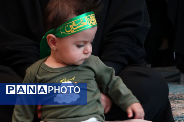 همایش شیرخوارگان حسینی، لاله‌های سرخ در آغوش مادران