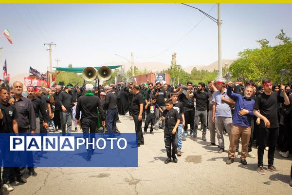 برگزاری مراسم ملی وداع نخل‌های روستاهای علوی و خاوه اردهال