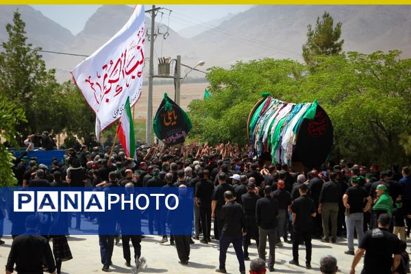 برگزاری مراسم ملی وداع نخل‌های روستاهای علوی و خاوه اردهال