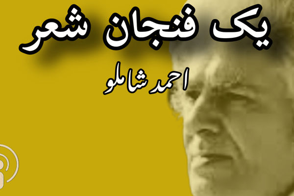 یک فنجان شعر
