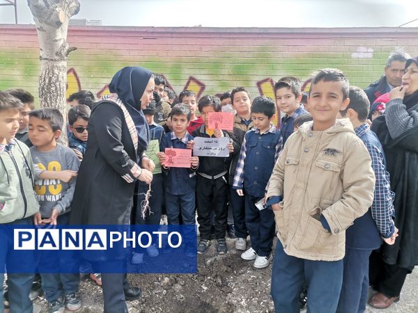 کاشت نهال در دبستان پسرانه مبین شیروان