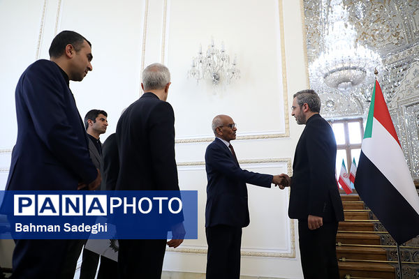 دیدار وزیر امور خارجه سودان با سرپرست وزارت امور خارجه