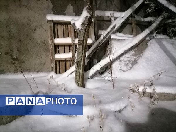 گذری بر بارش برف زمستانی در شهر بار