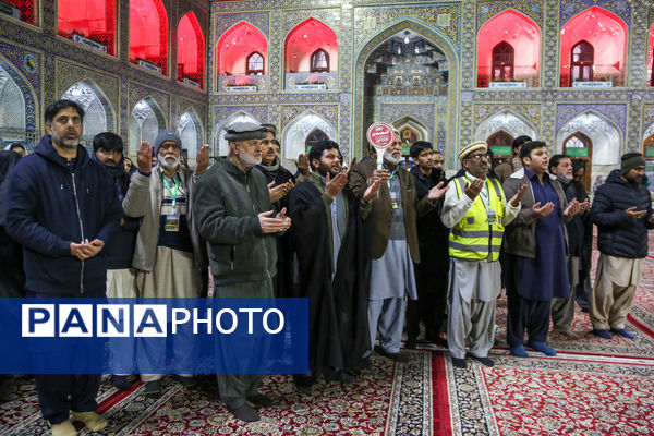 حال و هوای حرم مطهر رضوی در شب وفات حضرت زینب سلام الله علیها