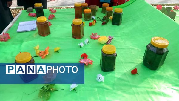 جشنی شاد و رنگین برای بانوان هنرمند شازند