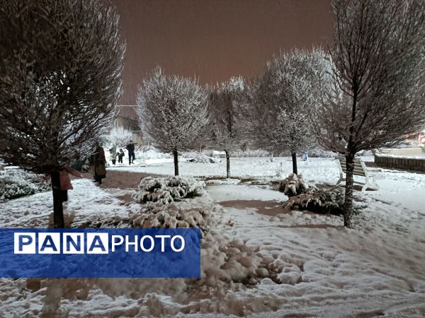 ورود باشکوه زمستان به نیشابور 