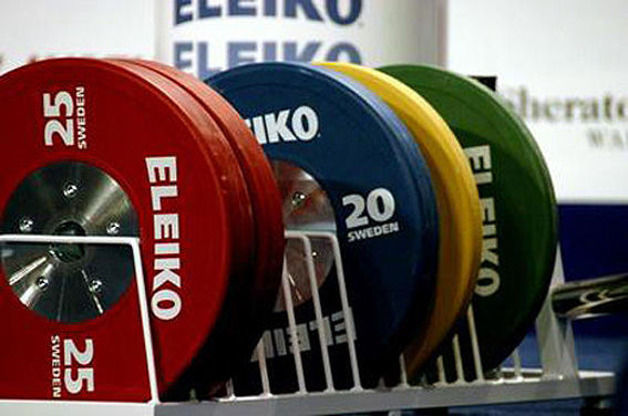 انتظار مدالی کمیته ملی المپیک از پولادمردان در بازی‌های آسیایی ناگویا