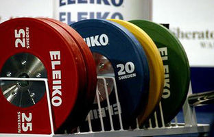 انتظار مدالی کمیته ملی المپیک از پولادمردان در بازی‌های آسیایی ناگویا