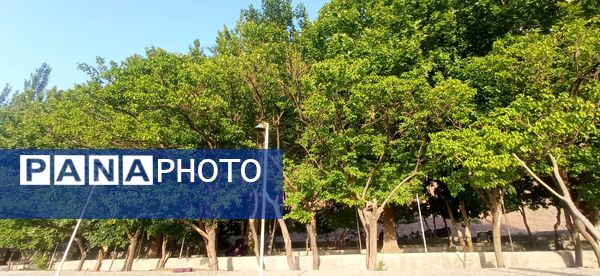 مزار گردشگری کلاته بایزید، گوهر پنهان طبیعت در دل کوهستان 