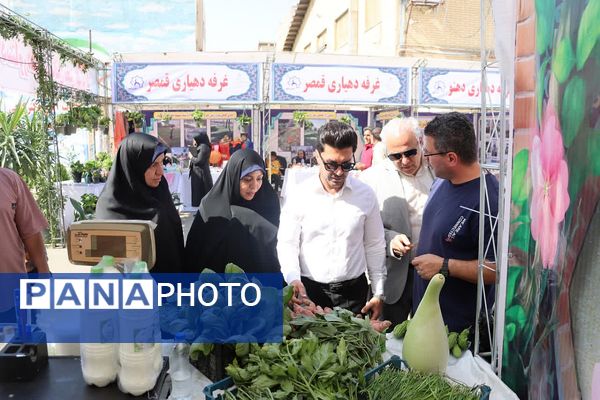 جشنواره فرهنگی و بومی محلی و نمایشگاه دستاوردهای روستائیان بخش کهریزک 