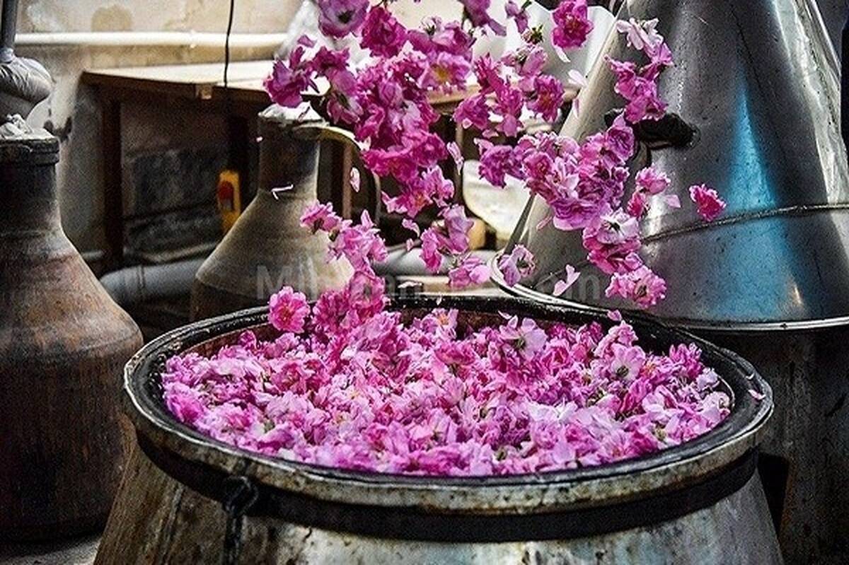 هدف برگزاری جشنوارهها، نشان دادن آداب و رسوم اقوام مختلف کشوراست
