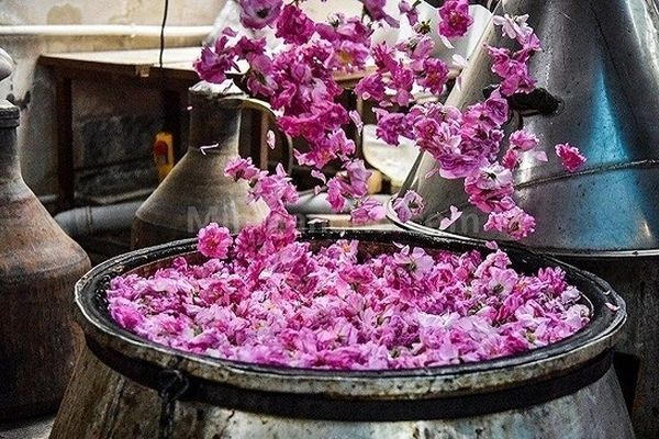 هدف برگزاری جشنواره‌ها نشان دادن آداب و رسوم اقوام مختلف کشور است