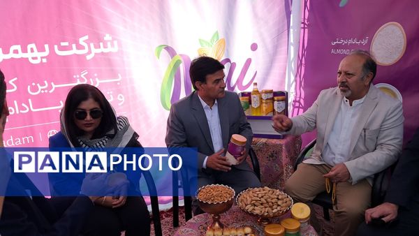 شکوفایی طعم و فرهنگ در سامان؛ دومین جشنواره بادام و گردو 