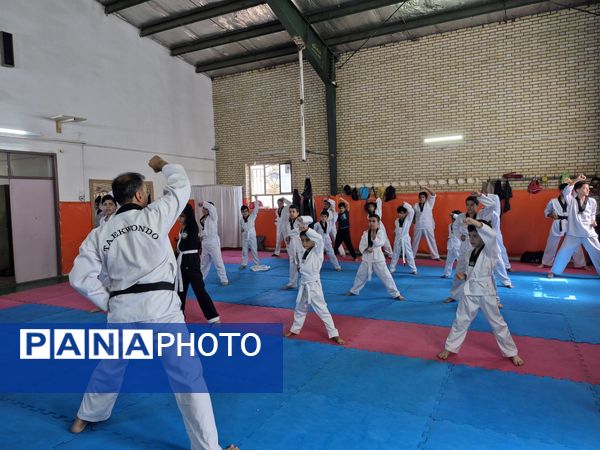 دانش اموزان تکواندوکار کاشمری پله اول ترقی را پیمودند