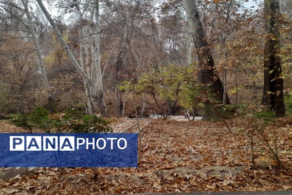 هنرجویان هنرستان کبری زرگران ملارد مهمان کاخ سعدآباد