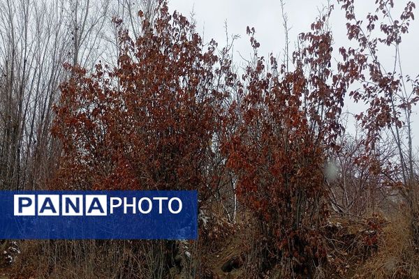 حال هوای شهر زیبای بار بعد از اولین بارش باران زمستانی