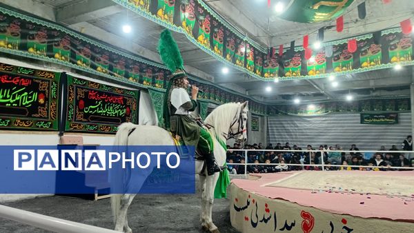 عطر غربت فاطمی در مارکده پیچید