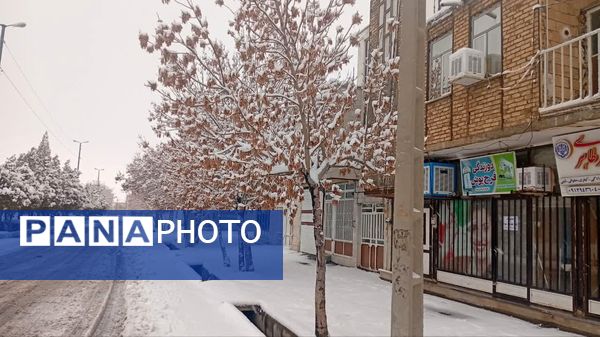 شازند سفیدپوش شد