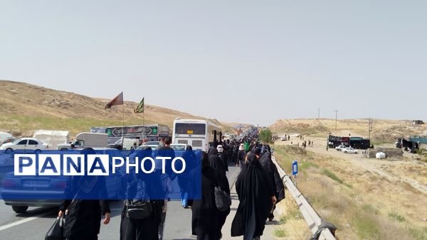 پیاده روی زائران امام رضا(ع) از ملک آباد تا مشهد 