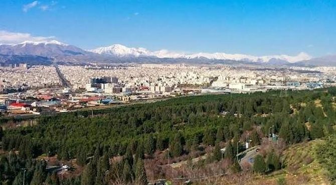 کاشت بیش از ۳۳ هزار نهال به نام امام علی(ع) و سردار سلیمانی در بوستان سرخه‌حصار