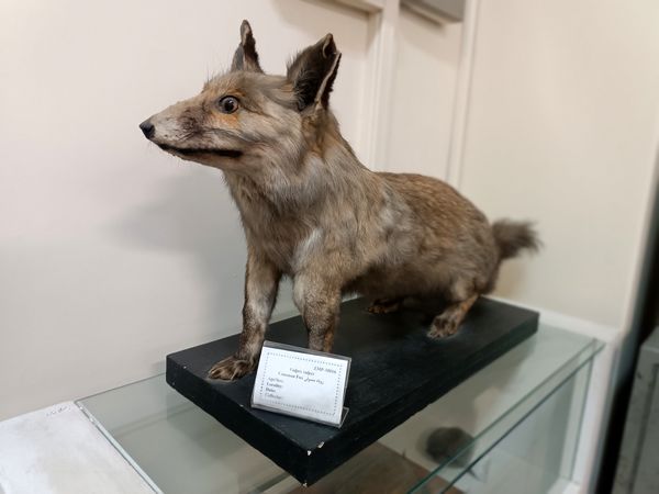 گام خبرنگاران در مسیر تنوع زیستی