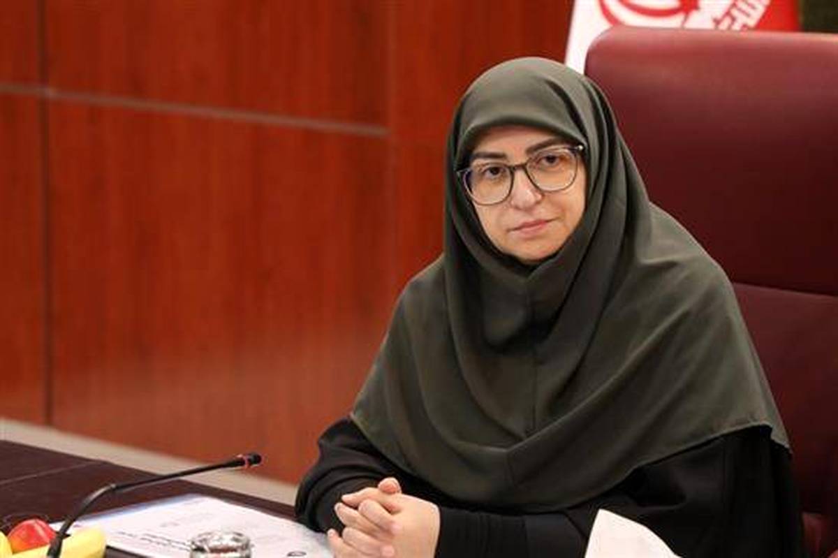 لزوم اصلاح قانون حمل سلاح در مجلس