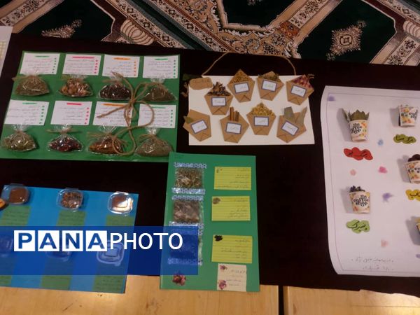 برگزاری نمایشگاه گیاهان دارویی در دبیرستان شاهد شهدای اقتدار ملارد 