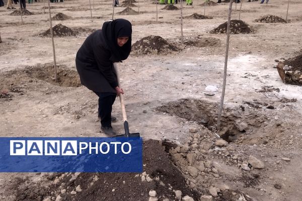 برگزاری مراسم روز درختکاری در شهرک وحدت شهرستان فردیس 