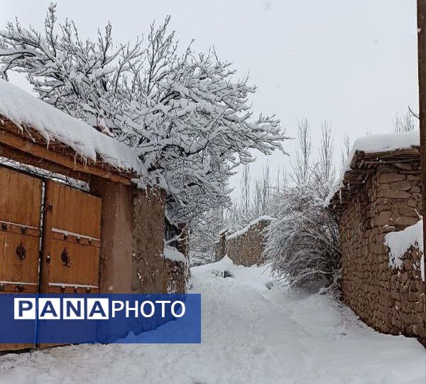 جلگه رخ سفید پوش شد 