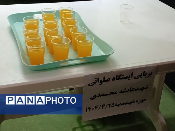 گرامیداشت ۲۸ زن شهیده در کامیاران؛ ترویج ایثار و فداکاری