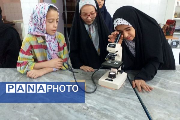 برگزاری کارگاه کار با میکروسکوپ در پژوهش‌سرای دانش‌آموزی بو‌علی سینای ملارد