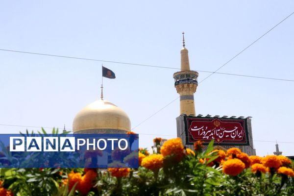 آسمان حرم مطهر رضوی غرق در نوای علمدار نیامد
