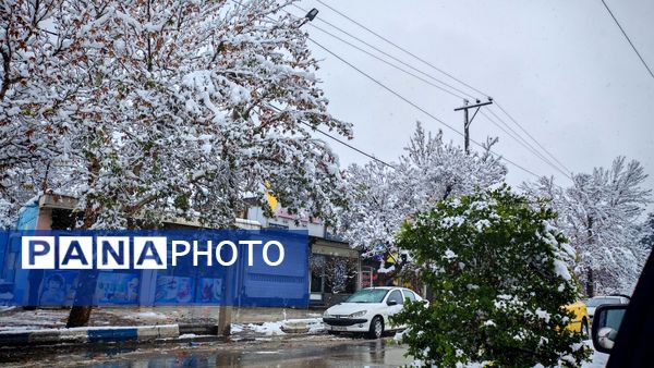 وقتی زمین زیر لحاف سفید برف به خواب میرود