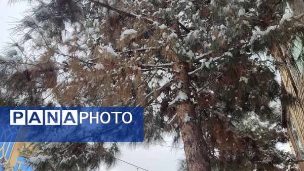 خراسان رضوی به استقبال زمستان رفت