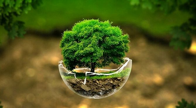 روز جهانی عدم استفاده از کیسه‌های پلاستیکی