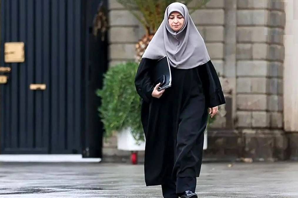 رئیس سازمان حفاظت محیط زیست به برزیل سفر می‌کند